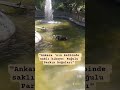 Ankara&#39;da huzurlu bir yer arayanlara Kuğulu Park! #park #kushti #huzur