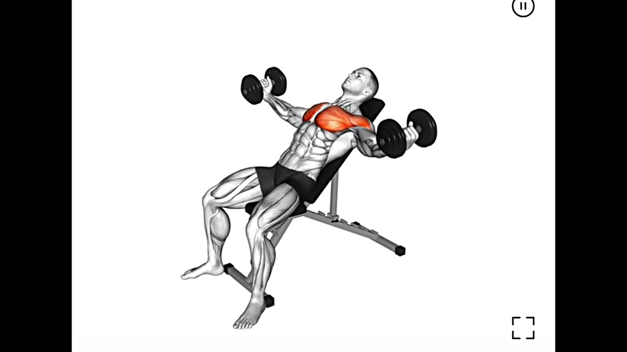 5 Best Chest Exercise at home with only 2 dumbbel 