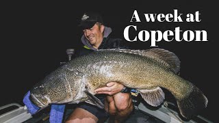 A week at Copeton: 121cm Murray Cod