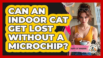 Can An Indoor Cat Get Lost Without A Microchip? - Happy Cat Handbook