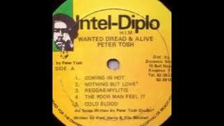 Peter Tosh - The Poor Man Feel It [Intel Diplo 1981]