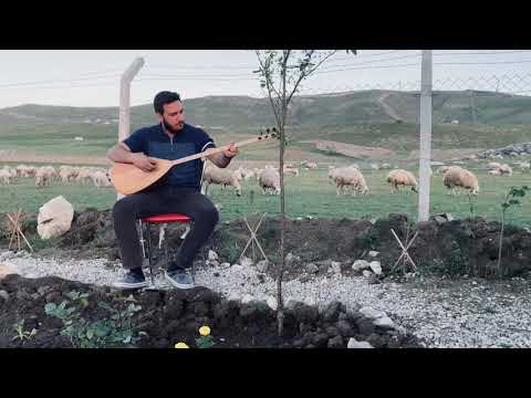 Eray ŞAN - Yine Arzuladım Bizim Elleri (Bak Şimdi)