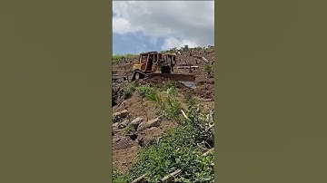 Caterpillar D6R XL Bulldozer Operator Very Skilled in Widening Plantation Roads #amazing #work