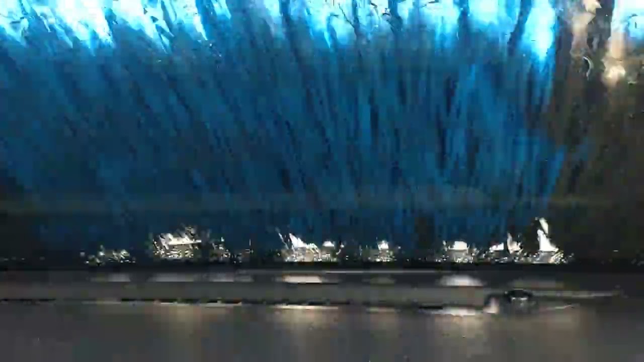 Ｗ光沢撥水コート洗車　２０２６年１月