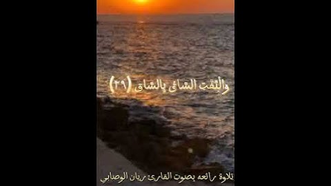 ﴿كَلّا إِذا بَلَغَتِ التَّراقِيَ﴾ $حالات #واتس #قرانيه [القارئ ريان الوصابي حفظه الله