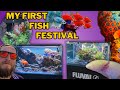 Aquashella aquarium show aquascapes fish corals axolotls  more