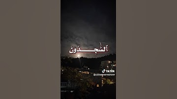 قرآن كريم راحة نفسية#اكسبلور #مصرالعراقاليمن #القارئ إسلام صبحي#مصر #اللهمإجعل القرآن الكريم ربيع #