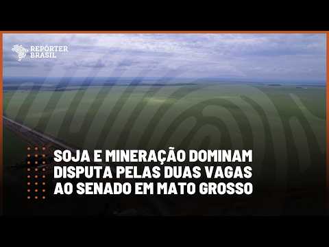 Soja e mineração dominam disputa pelas duas vagas ao Senado em Mato Grosso