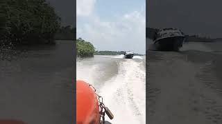 Inside The Creeks Of