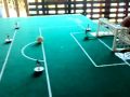 subbuteo