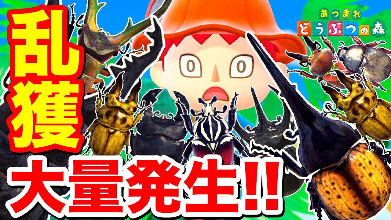 としあつ様　ご検討品 Animal Crossing: New Horizons] While testing the Switch 2, a large