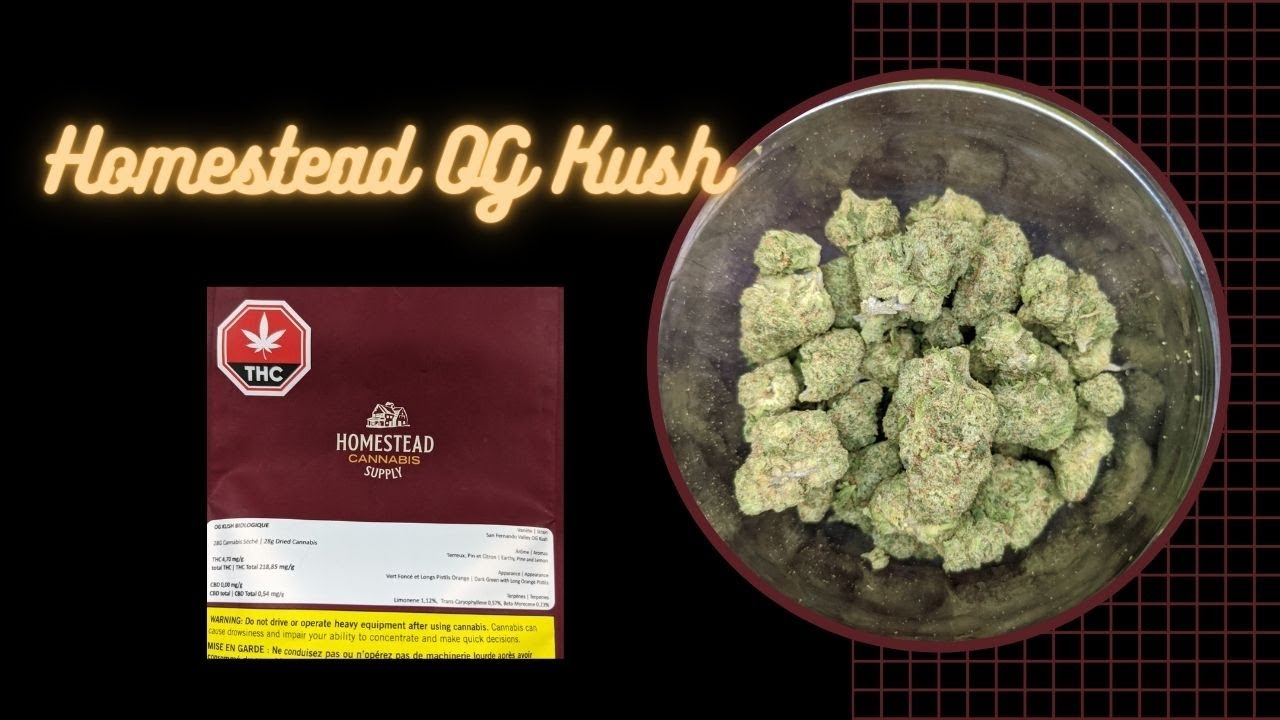 Homestead Cannabis Supply - Organic SF OG Kush Ounce Review