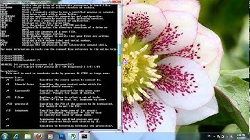 How to kill form vb.net