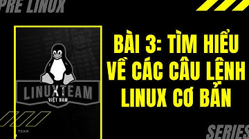 Kiến thức nền tảng để học Linux: Bài 3: Tìm hiểu về các câu lệnh Linux cơ bản