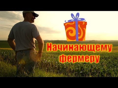 Кредит для начинающего фермера. Программа стань фермером.