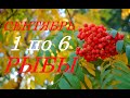 РЫБЫ. ПРОГНОЗ на НЕДЕЛЮ с 31.08 по 06.09.20г.