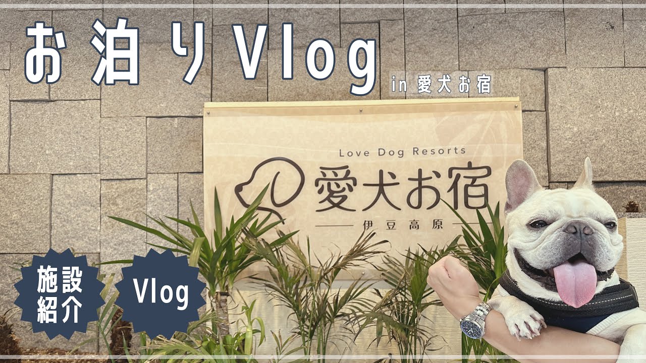 「愛犬お宿」は犬と泊まれる＋お酒＋ごはんが良すぎてリピートしちゃいました♪