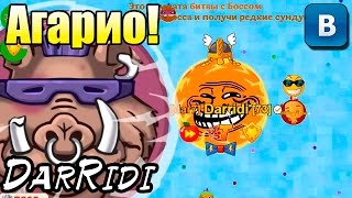 игра голодные игры круче агарио завоевали клановый сервер игра голодные игры круче агарио завоевали клановый сервер