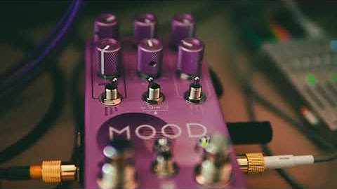 Tape Loop Jam 01 || feat Chase Bliss Mood MKII, Make Noise Morphagene, OP1 Field