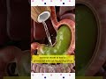 Drink Coconut Water Daily – See What Happens to Your Body!”