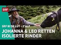 Leo &amp; Johanna wagen Rettungsmission für isolierte Rinder | Z&#39;Alp – SRF bi de Lüt | 2021 - 3/5 | SRF