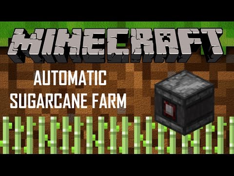 How to make automatic sugarcane farm using observer blocks 