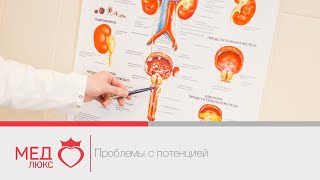 Проблемы с потенцией или когда есть повод обратиться к врачу урологу? Клиники Медлюкс в Чите. Проблемы с потенцией или когда есть повод обратиться к врачу урологу? Клиники Медлюкс в Чите.