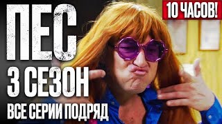 Сериал ПЕС - ПОЛНЫЙ 3 сезон - ВСЕ СЕРИИ ПОДРЯД (13-24) - ЧАСТЬ 2 | Сериалы ICTV