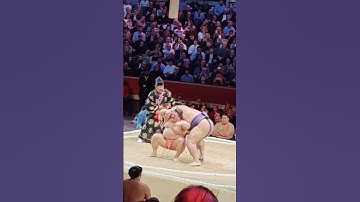 Rare SUMO finishing move 😱 The London Grand Sumo Tournament 2025 Ura Vs Shonnanoumi "Tzutaezori"