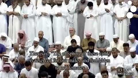 صلاة التهجد من الحرم المكي الشريف ليلة 28من رمضان1440| #بندر_بليلة و #ماهر_المعيقلي| تلاوة فقط