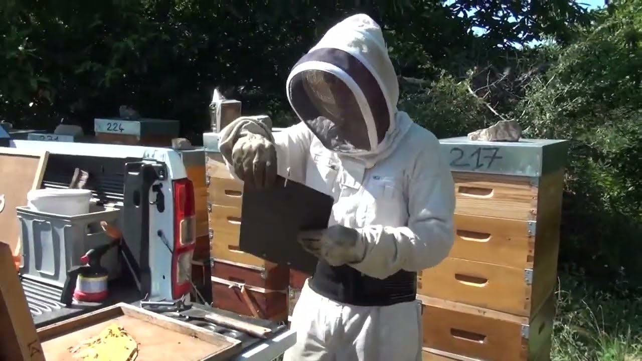 APICULTURE. E22 L'utilisation du chasse-abeilles pour une récolte douce | Récolter son Miel