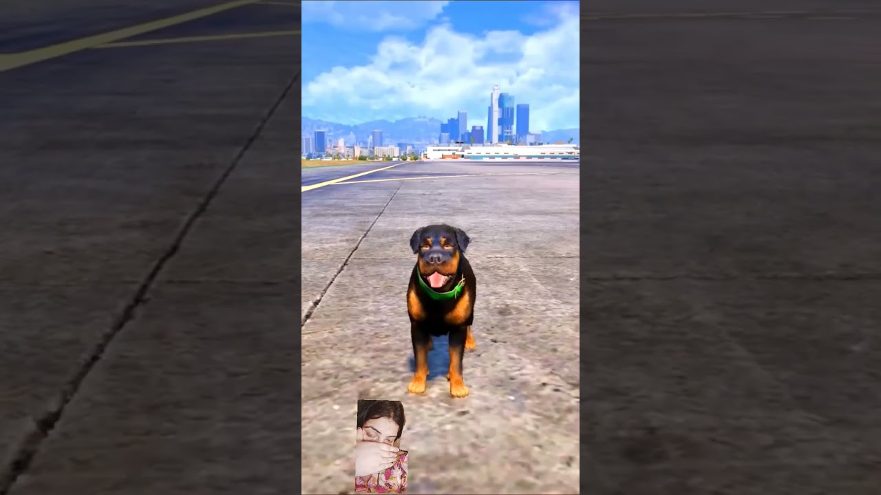 GTA.5 dog teach us love in its purest 