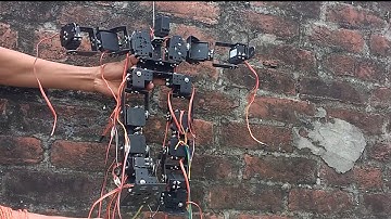 17 DOF Biped Humanoid Robot basic Testing.