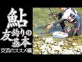 【鮎】増水時でも大丈夫 支流のススメ アユ友釣りの基本 有田川支流 四村川 梶原淳司