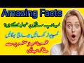Amazing facts  different facts   the world facts official