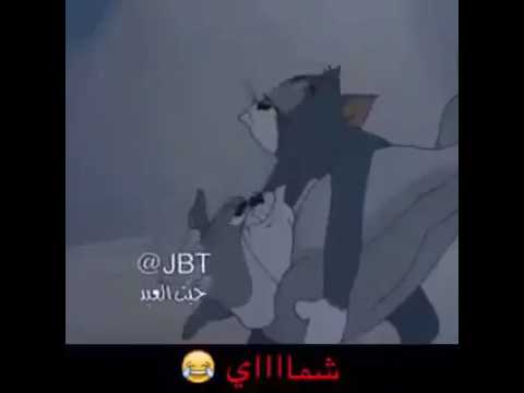 شماي
