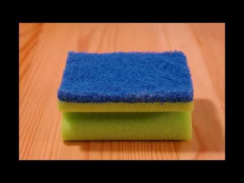 Your sponge is full of bacteria