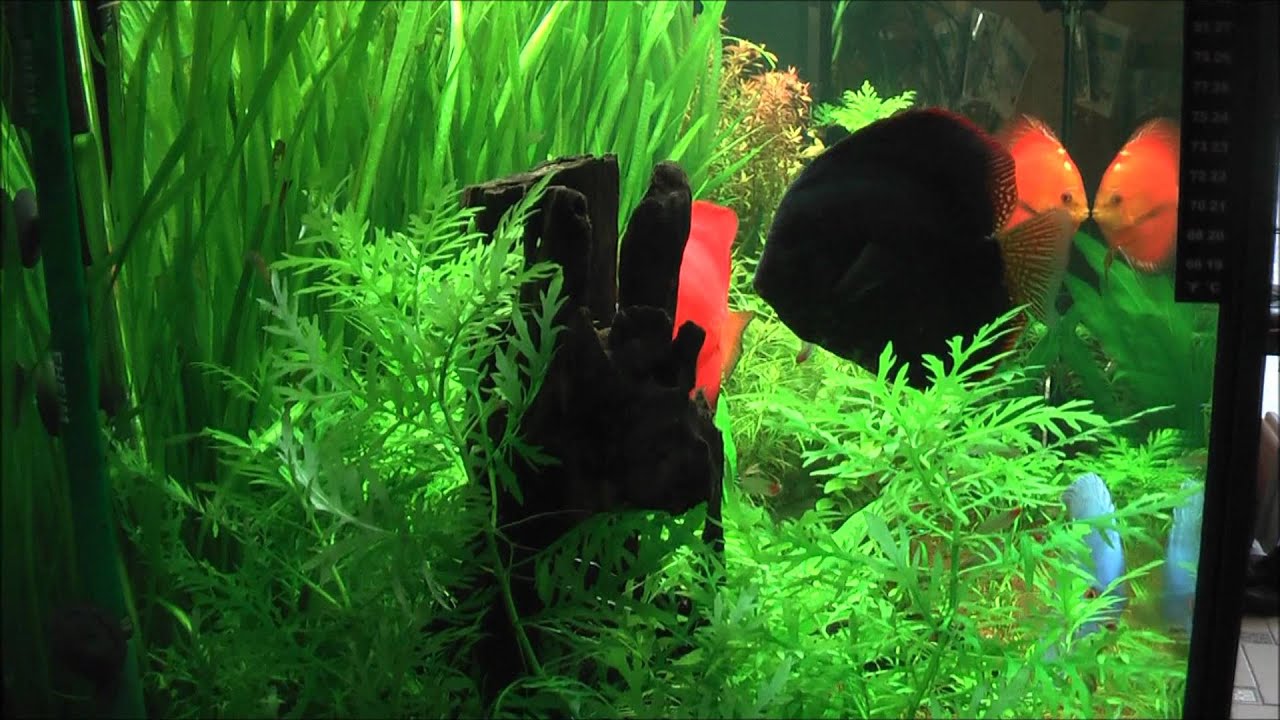 Rio 400 - 18.07.2011 - Full HD 1080p 1ere Partie.wmv