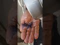 اسباب تأخير التشغيل وتلف الطلمبه والبخاخات
