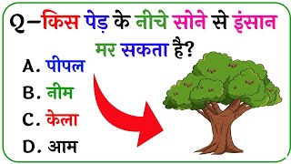 GK Question || GK In Hindi || GK Question and Answer || GK Quiz || Shibu GK STUDY ||