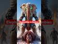 Elephant man vs Zombies #cartoon #animation #shortsfeed #youtubeshorts#youtubeshorts