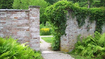 Prophet 12 Choir and Sawtooth Solo Patches II