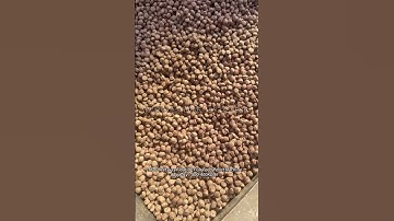 LM-80 Wet way Floating Fish Feed Pellet Machine Capacity：300-400KG/H  #floatingfishfeedmachine