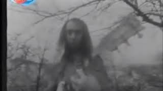 Erkin Koray - Allahaşkına (1977)