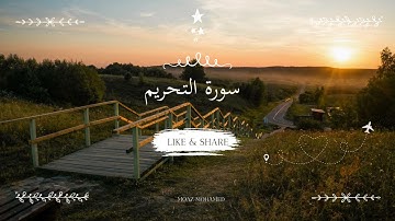 سورة التحريم | معاذ محمد