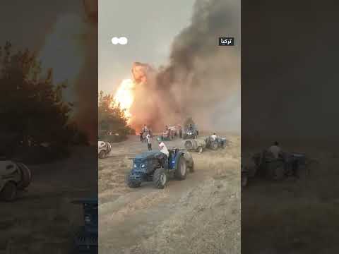 حرائق غابات مدمرة في ولاية بورصا التركية