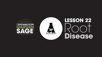 Root Disease - Lesson 22