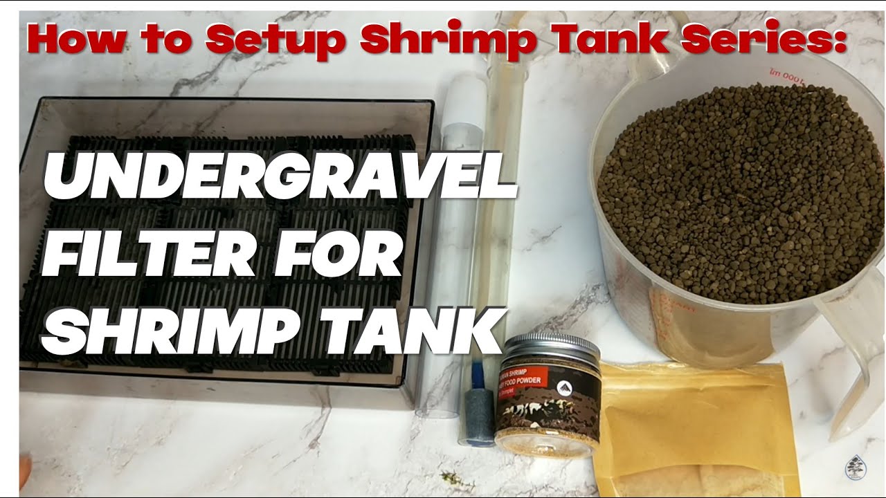 How to Setup New Shrimp Tank Undergravel Filter for Shrimp Tank Part