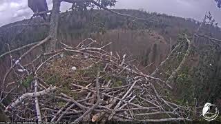 J E20210426 130000MrCOut