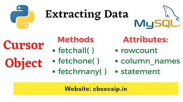 MySQL - Python connection || fetchall, fetchone, fetchmany || Class 12 Computer Science (Hindi)